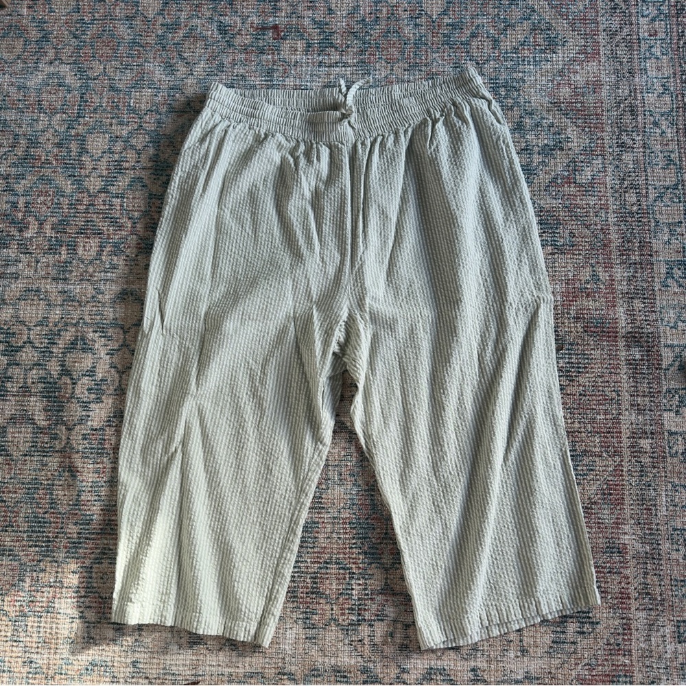 Lucy & Yak Chuck Green &  Cream Striped Pants Plus Size